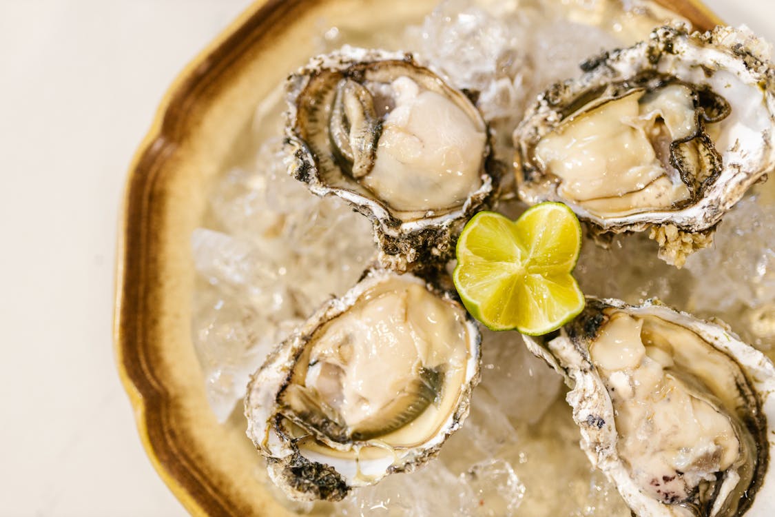 Oysters: The Ocean’s Treasure You Can Eat