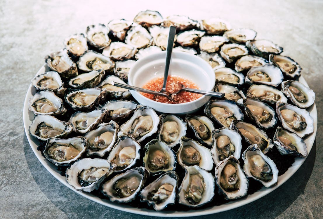 Oysters: Nature’s Salty Little Miracle
